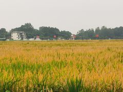 -中国天府农业博览园