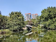 -东山湖公园