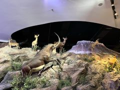 -陕西自然博物馆