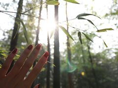 -陶祖圣境风景区