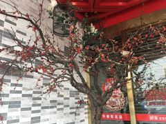 -解家河南菜(商鼎路店)