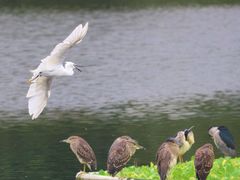 -重庆彩云湖湿地公园