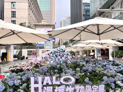 -HALO广场(梨园路店)