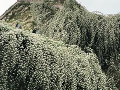-府河摄影公园