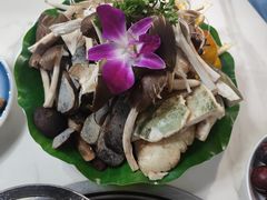 -野菌王•养生汤锅•野生菌火锅(大理漾濞路店)