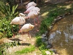 -昆明动物园