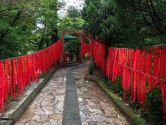 -蝴蝶泉公园