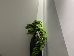 -辰熙ACX星海艺术中心