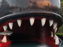 -平湖九龙山乐满地水上乐园