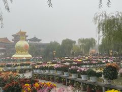 -中国翰园碑林