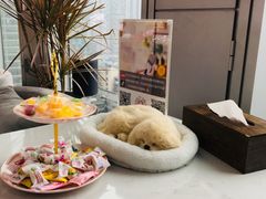 -鲸渝眼镜·浅目视光(春熙路店)