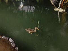 -后海公园