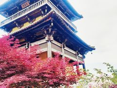 -茅山东方盐湖城景区