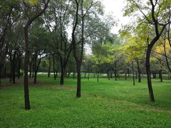 -秦始皇兵马俑博物馆-停车场