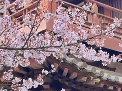 -西安青龙寺遗址景区