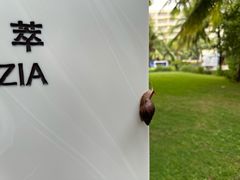 -三亚山海天JW万豪酒店