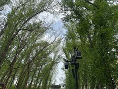 -晋祠博物馆