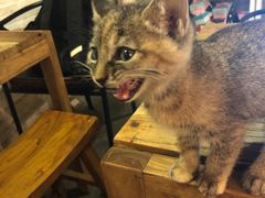 -时光转角咖啡馆(西康路店)