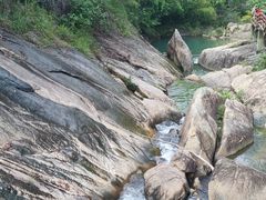 -广州白江湖森林公园