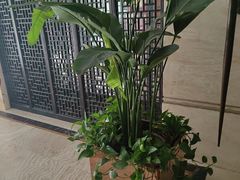 -洛阳宴·洛阳菜(南昌路店)
