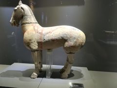 -秦始皇兵马俑博物馆-停车场