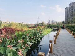 -那考河湿地公园