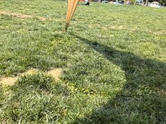 -WE ME 伴山营地·城市露营·团建策划