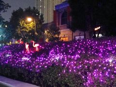 -夜郎蛙(汉街店)