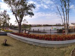 -上海长兴岛郊野公园