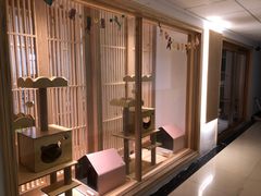 -猫腻·猫咖·撸猫馆(星光大道店)