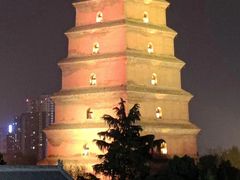 -秦始皇帝陵博物院(兵马俑)