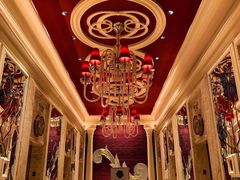 -拉斯维加斯永利酒店