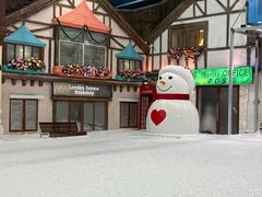 -世界之窗阿尔卑斯冰雪世界