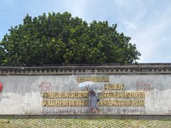 -观潮胜地公园