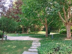 -北京国家会计学院