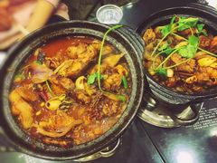 麻辣鲶鱼煲-川香煲(茅台路店)