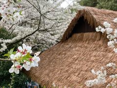 -中国茶叶博物馆(双峰馆区)