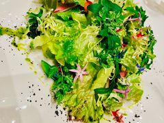 -广州四季酒店·佰鲜汇·现代法餐