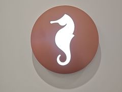 -海马体大师店(广州天汇广场IGC大师店)