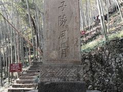 -严子陵钓台(富春江小三峡)