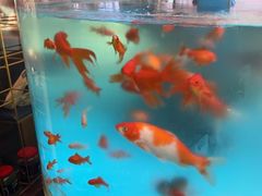 -辣得叫湘菜(四明店)