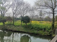 -西溪国家湿地公园