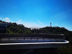 -金鸡山公园
