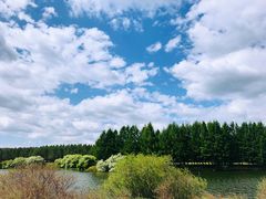-乌兰布统草原