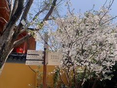 -龙华寺