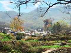 门面-塔川景区