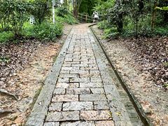 -上海佘山国家森林公园天马山园