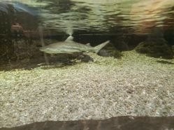 -Zoolung Zoolung动物主题公园(海信广场店)