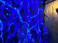 -西安电影制片厂