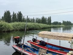 -白洋淀风景区